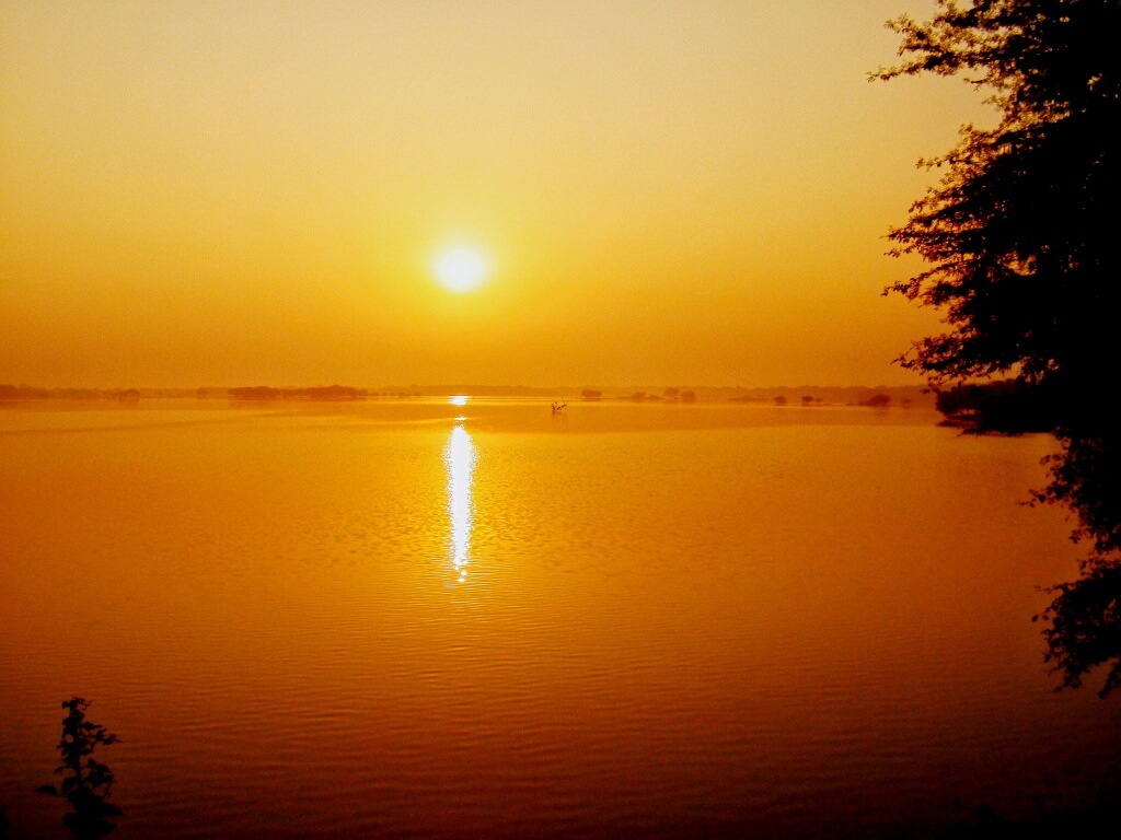 The Sun and The Lake